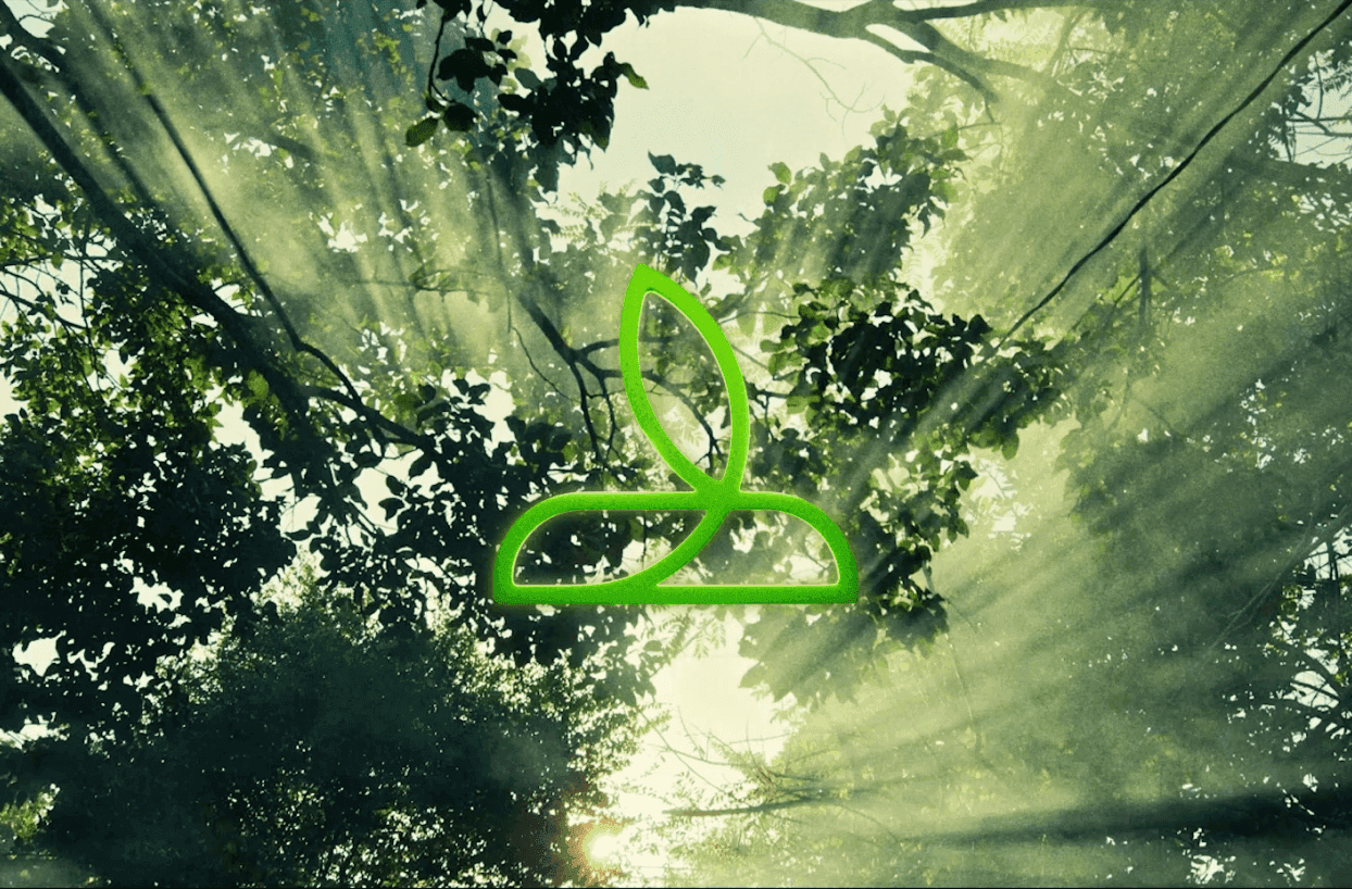Rectangle_4605_ce4bf6b684.png
